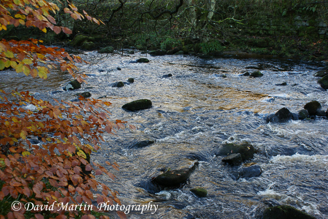 Hebden Water - Autumn